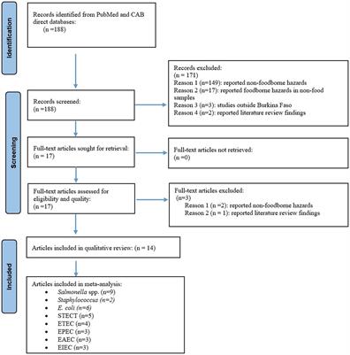 Foodborne hazards in food in Burkina Faso, 1990–2019: a systematic review and meta-analysis